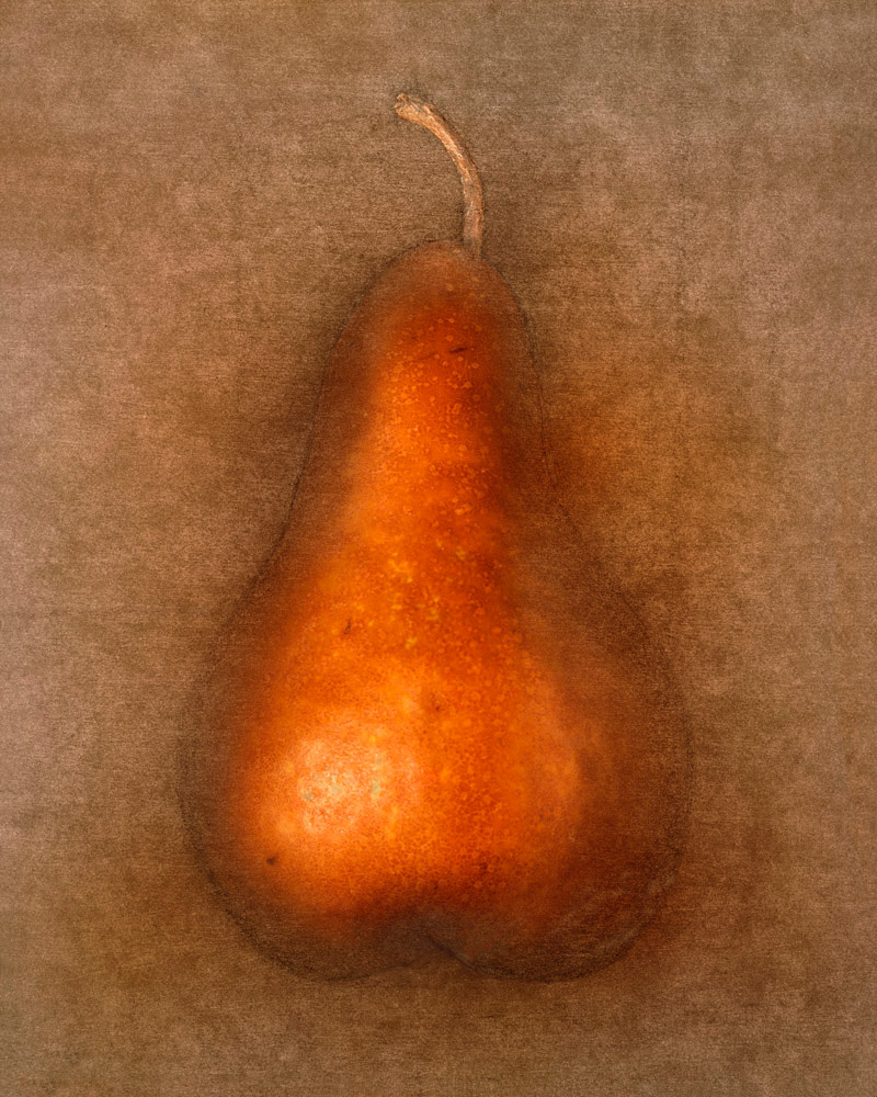 pear-bosc.jpg